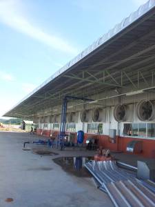 FRP 754 Shutter Fan of Mikasa Sports